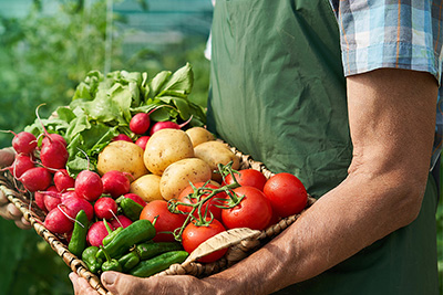 食材配（pèi）送