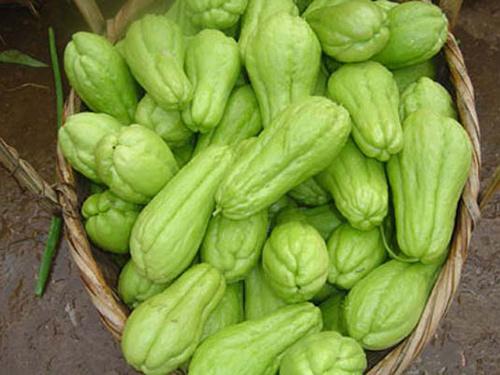 佛手瓜配送（sòng）