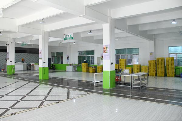 公（gōng）司實力