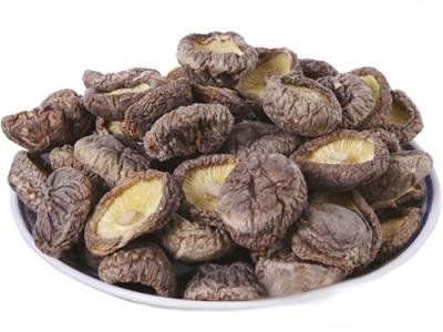 冬菇配送（sòng）