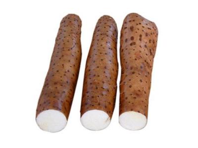 蔬菜配送的（de）有哪些難點？蔬菜（cài）配送的路線如何規範？